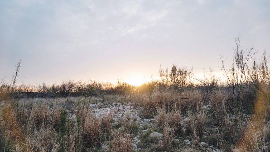 Flat land with rocks with desert brush  and sun setting