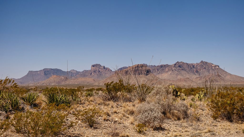 Desert mountains rise above a flat stretch of desert with assorted cacti