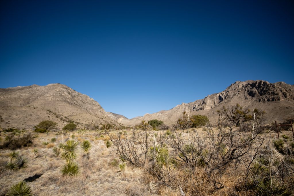Distance view of mountains and clear blue sky, green brush and succulents in the forefront