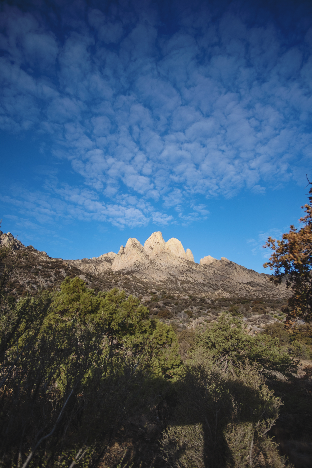 Organ Mountains-101