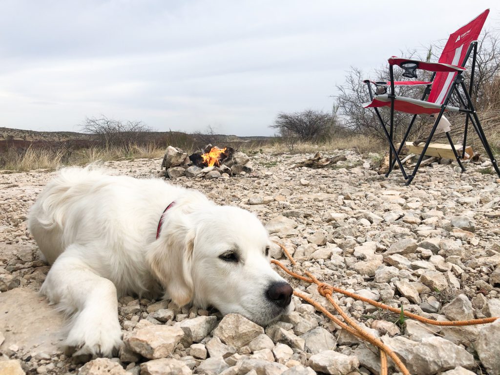 White rocks on the ground with a white golden retriever lying down, camp fire and red camp chair in the background